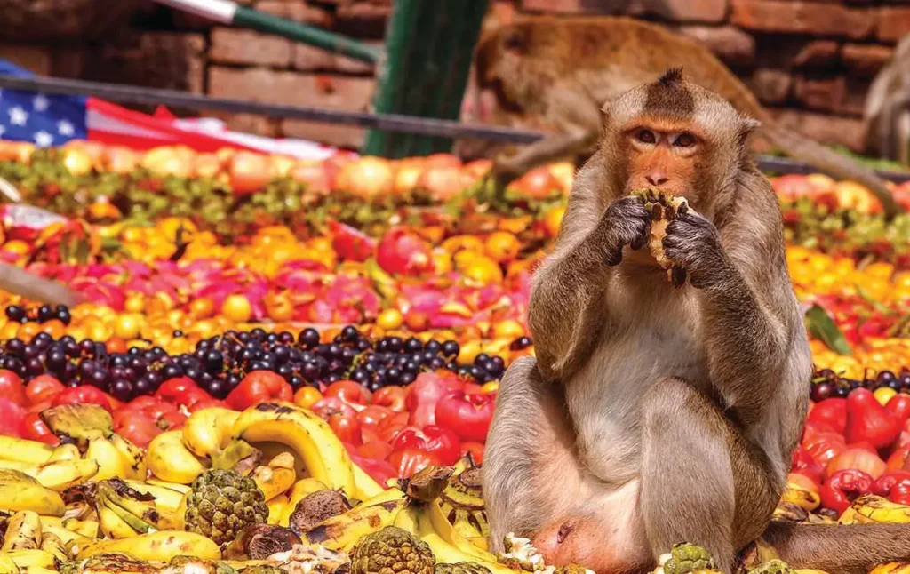 Thailand Monkey buffet festival